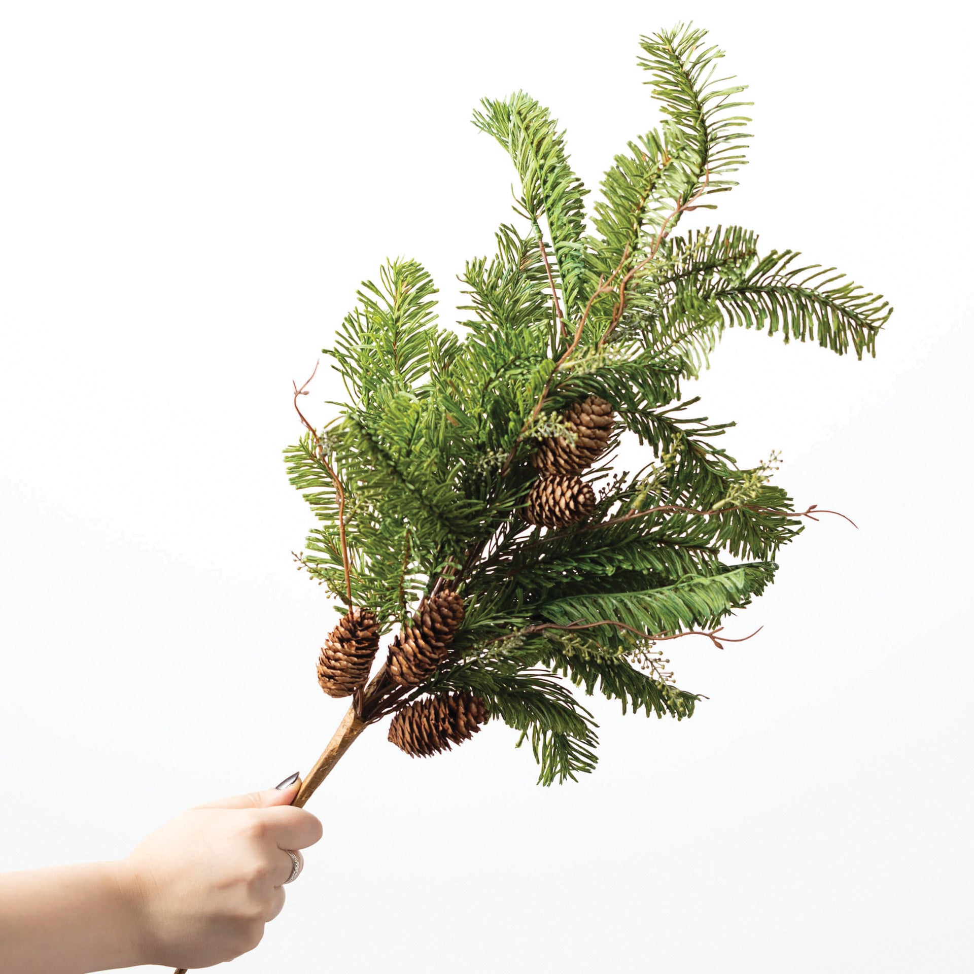 Soft Touch Pine Spray
