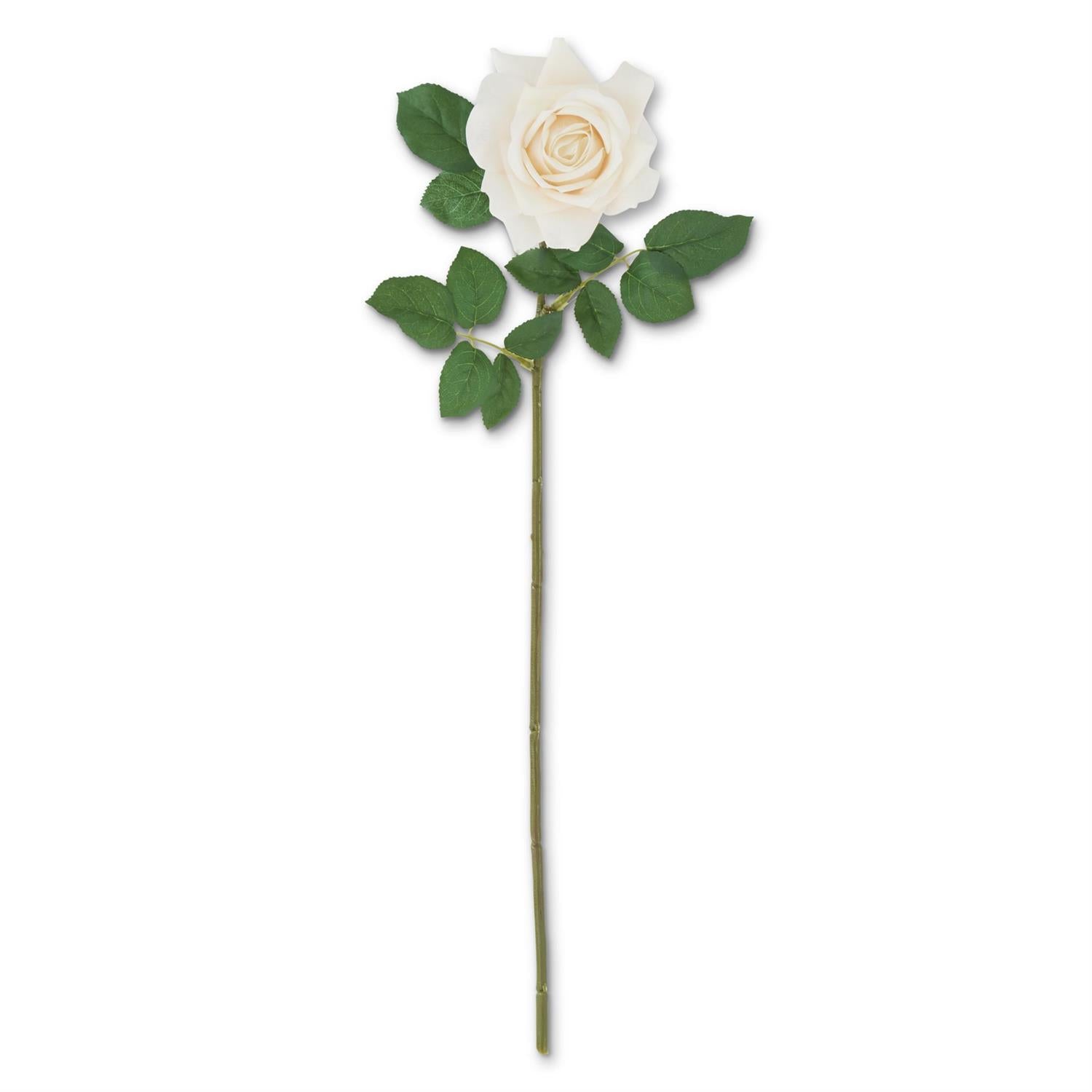 25 Inch Cream White Real Touch Duchess Rose Stem