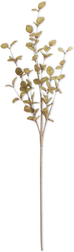 34 Inch Green Eucalyptus Stem