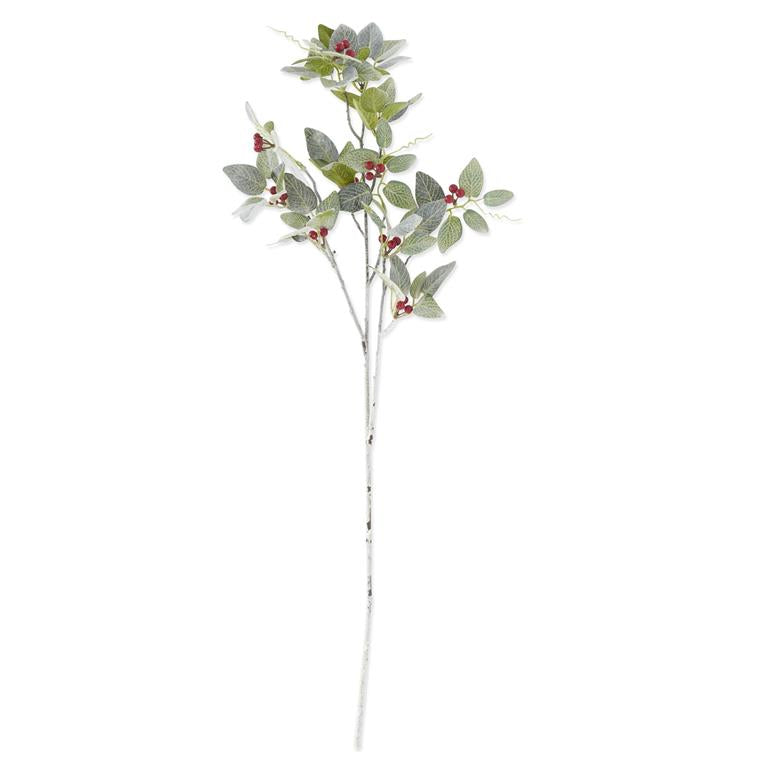 36 Inch Glittered & Flocked Fittonia Stem with Red Berries