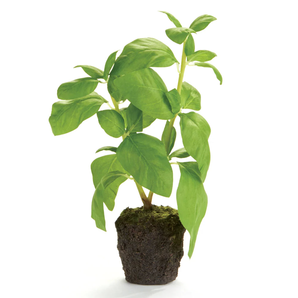 Basil Drop