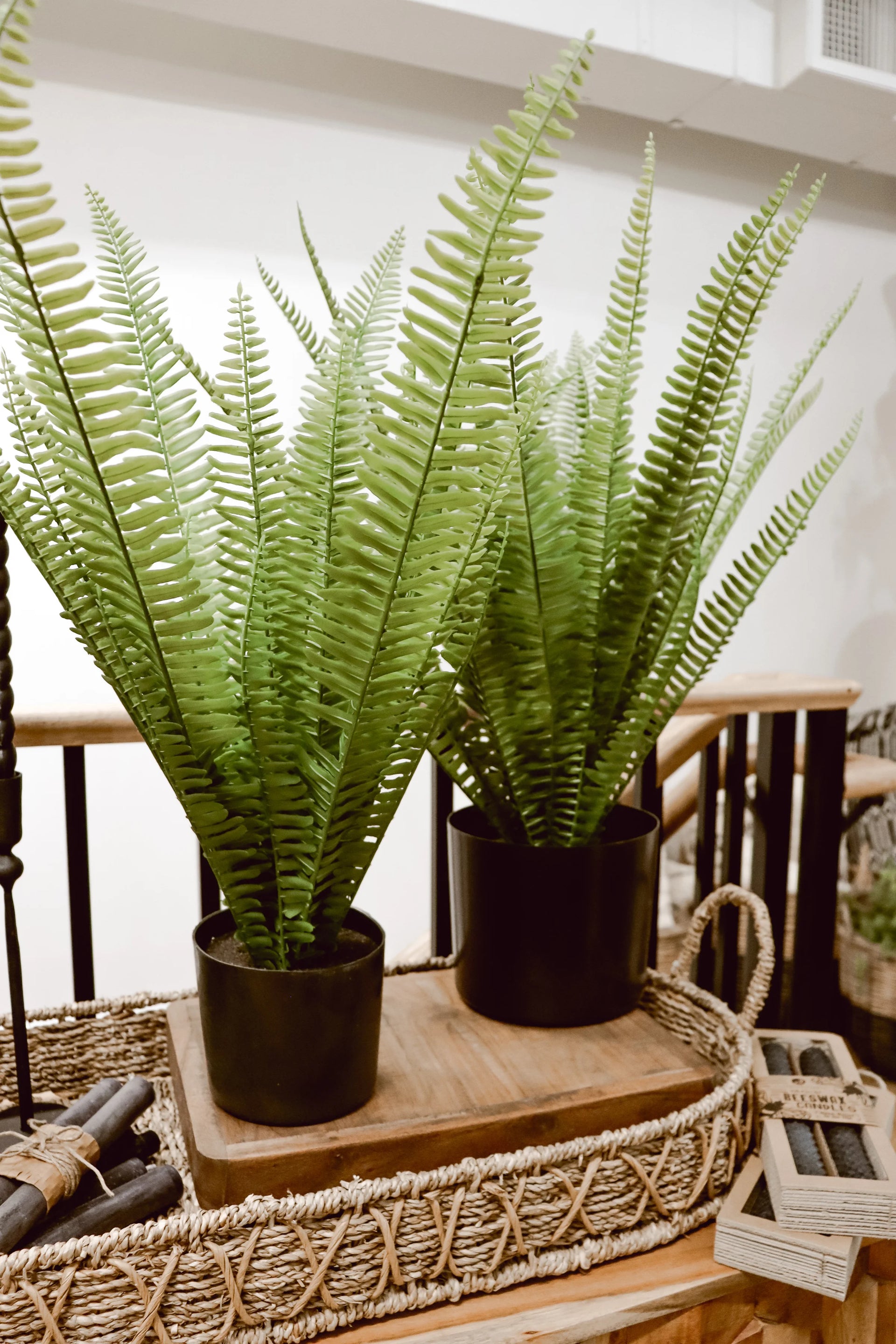 Kimberly Stand Up Potted Fern 28 in.