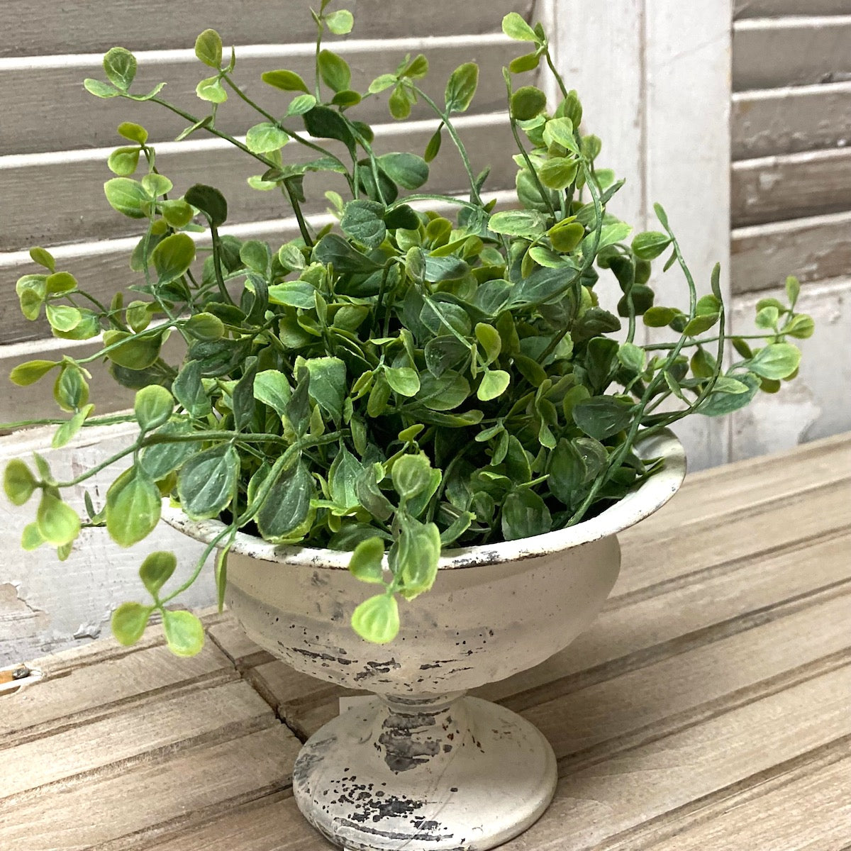 Seraph Vine Half Sphere