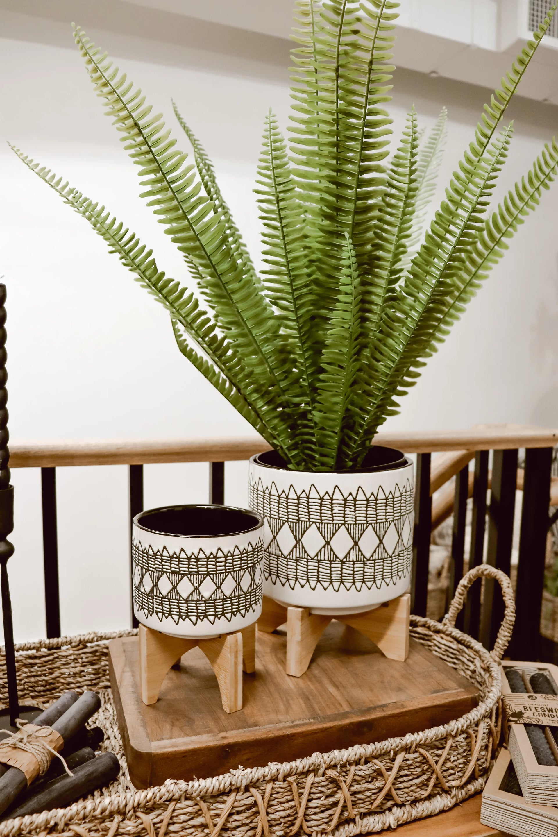 Kimberly Stand Up Potted Fern 28 in.