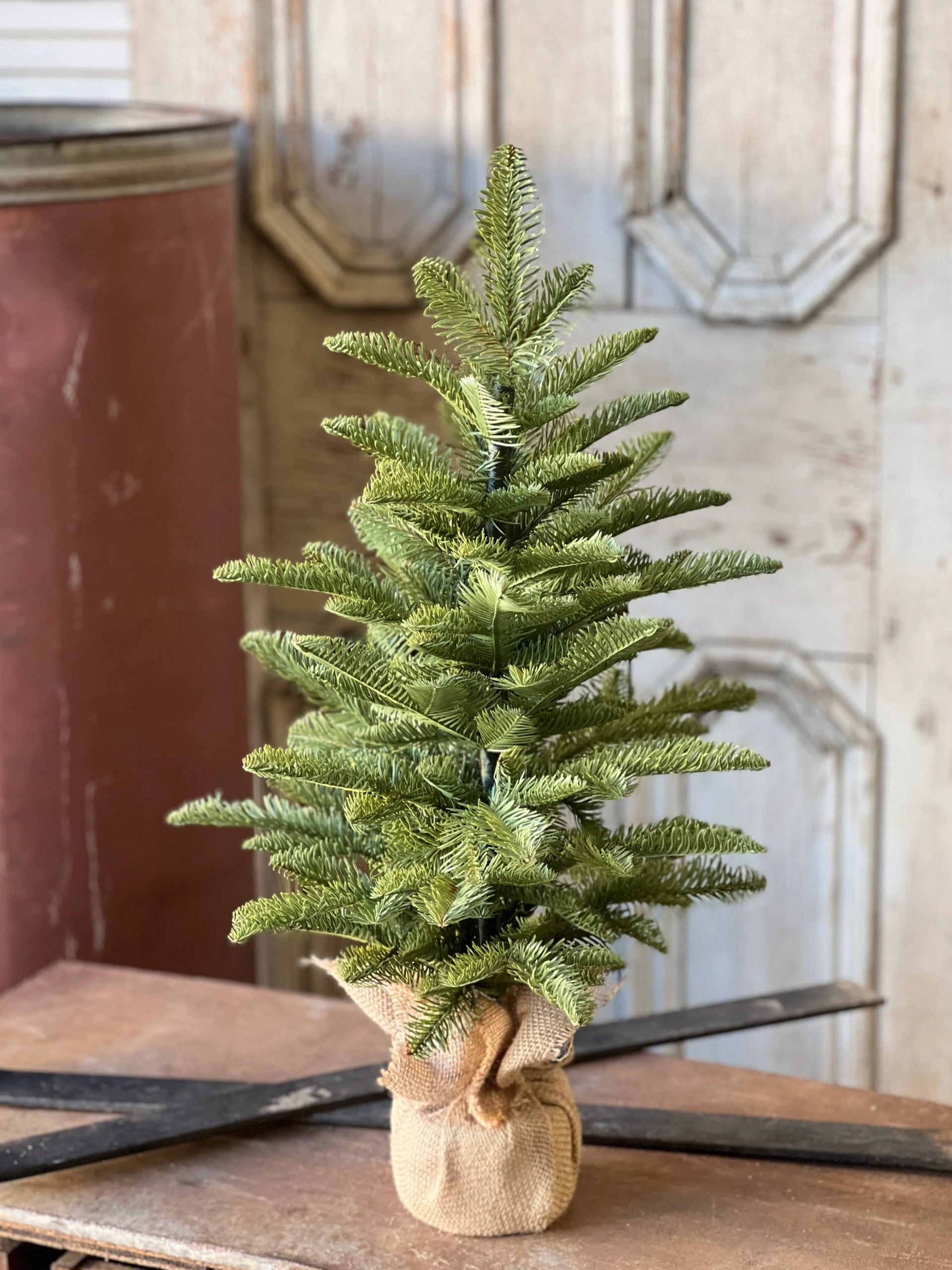 Shetland Spruce Tree 26 Inch