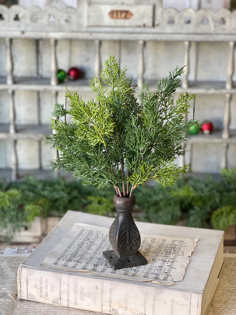 Verdant Cedar Bush