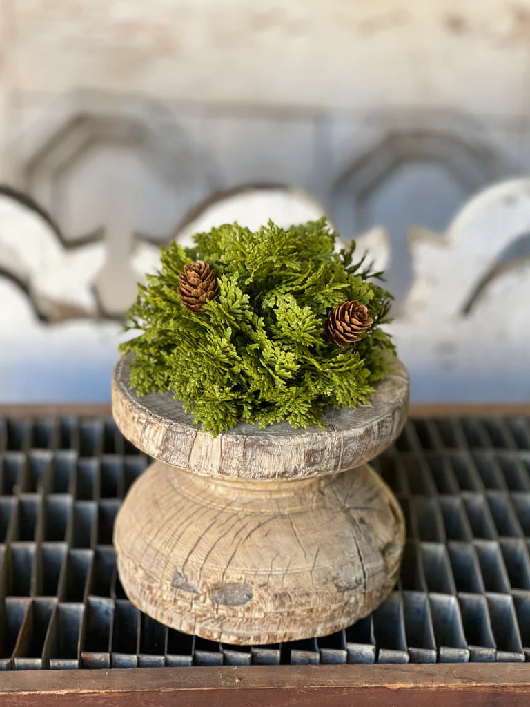 Leyland Cypress Half Sphere