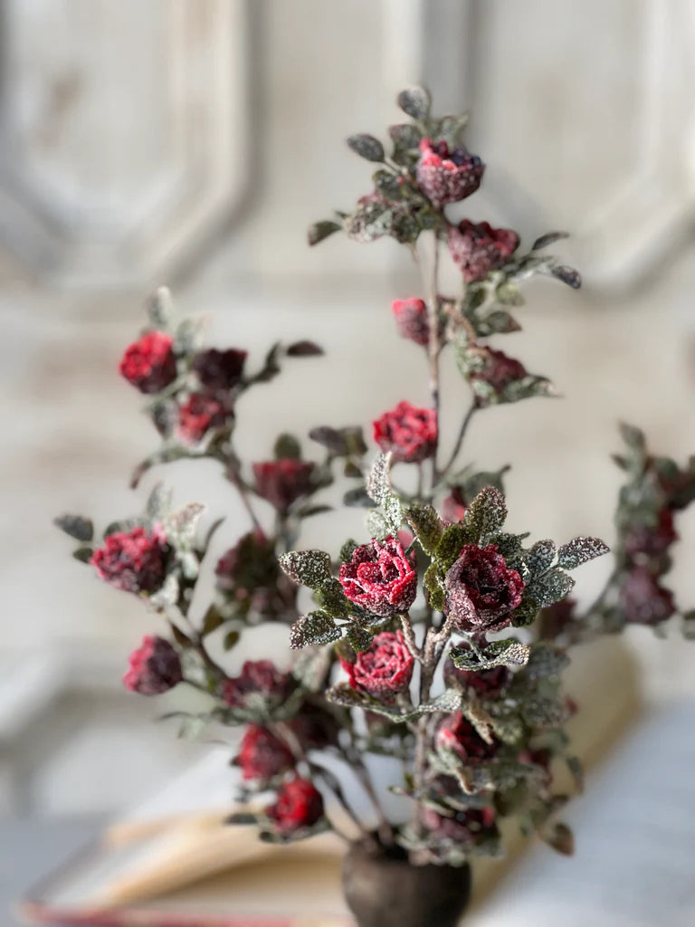 Frosted Tiny Tea Rose Bush 14"