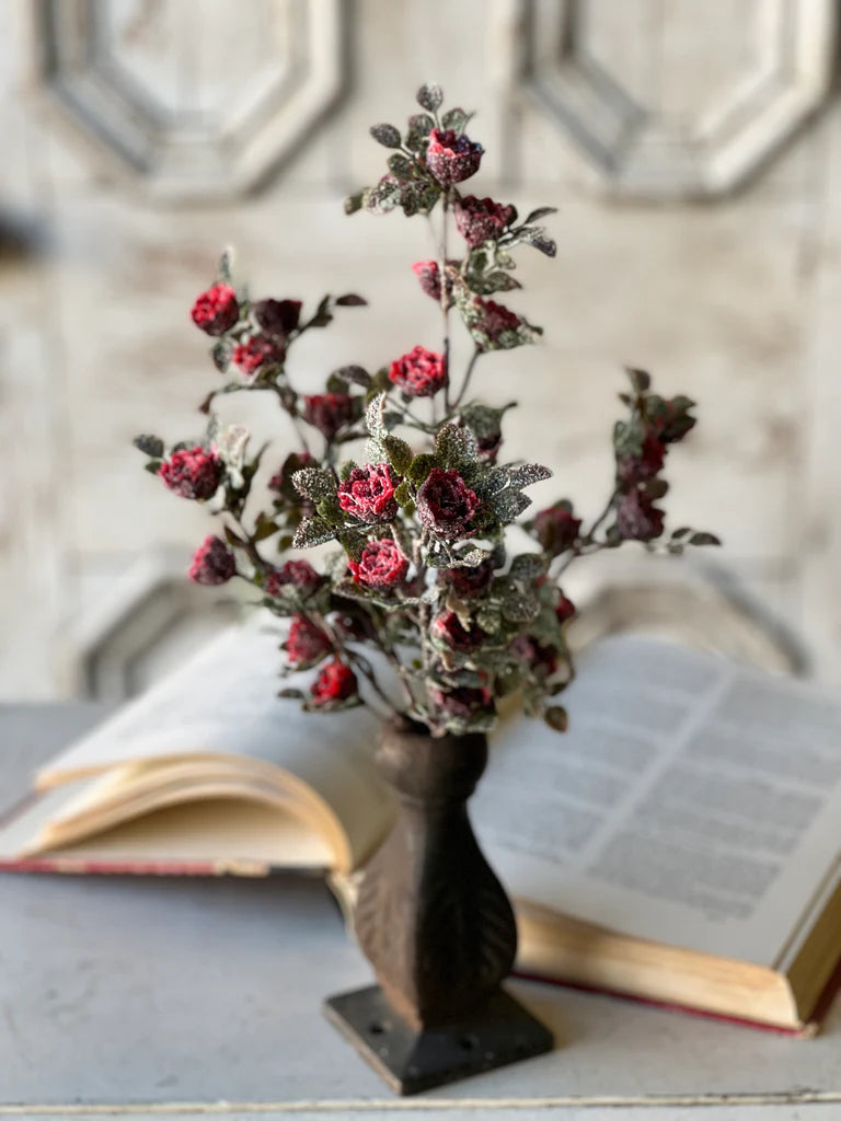 Frosted Tiny Tea Rose Bush 14"