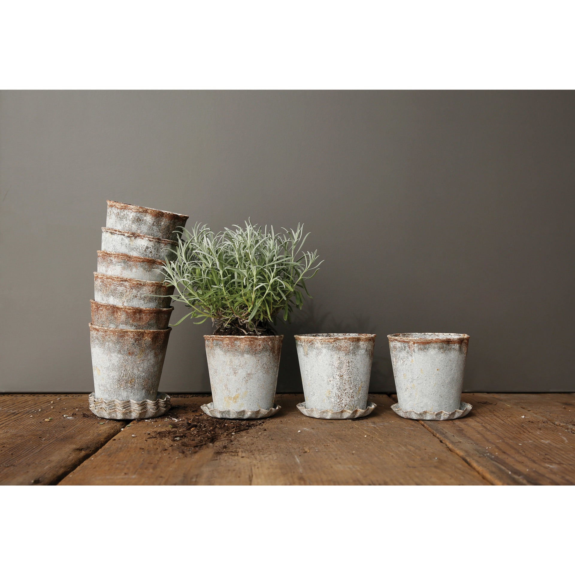 Distressed Metal Pot with Pleated Saucer