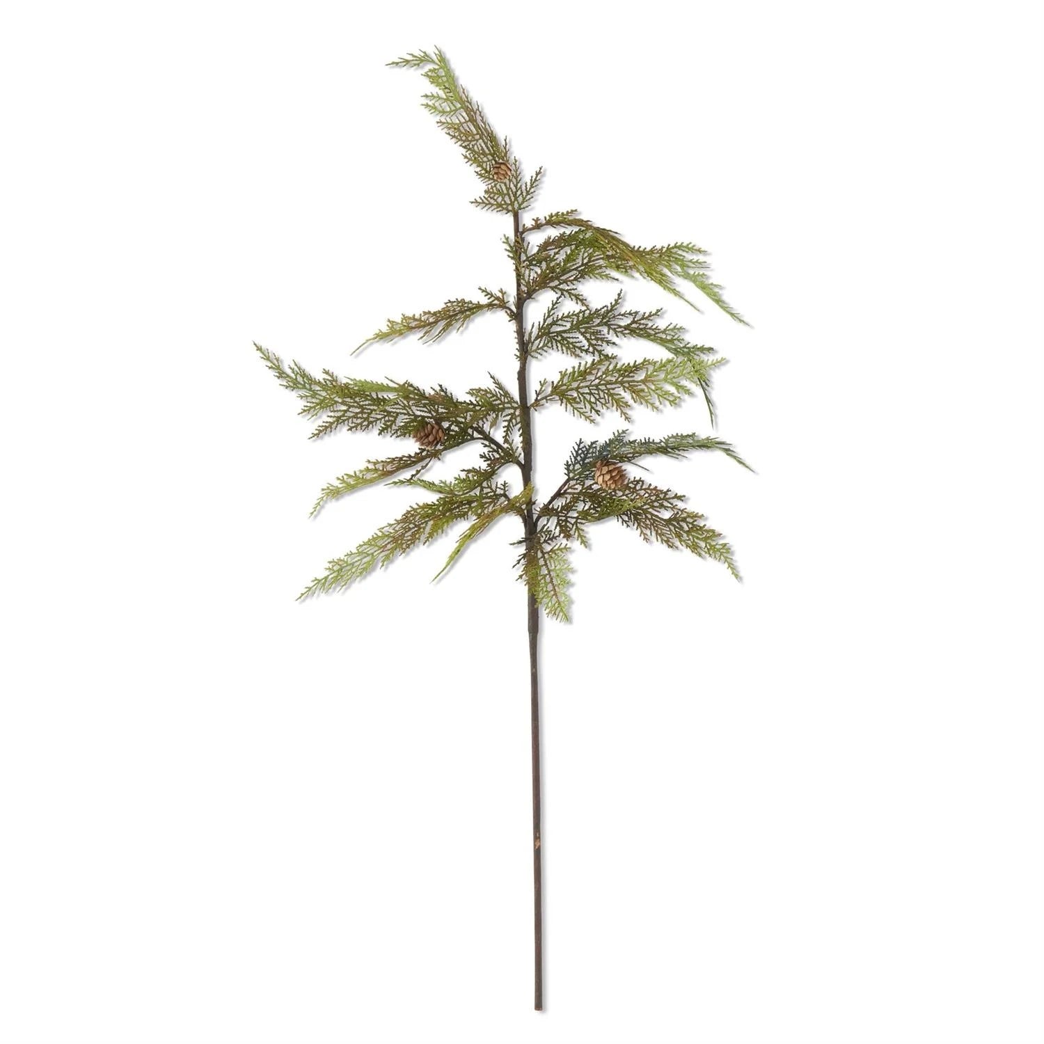 37 Inch Cypress Pine Stem with Mini Pinecones
