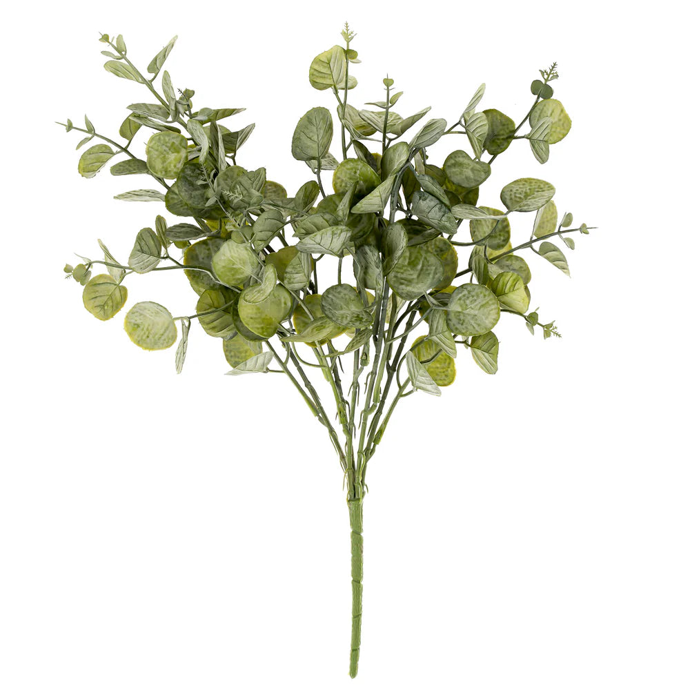 Eucalyptus Spray