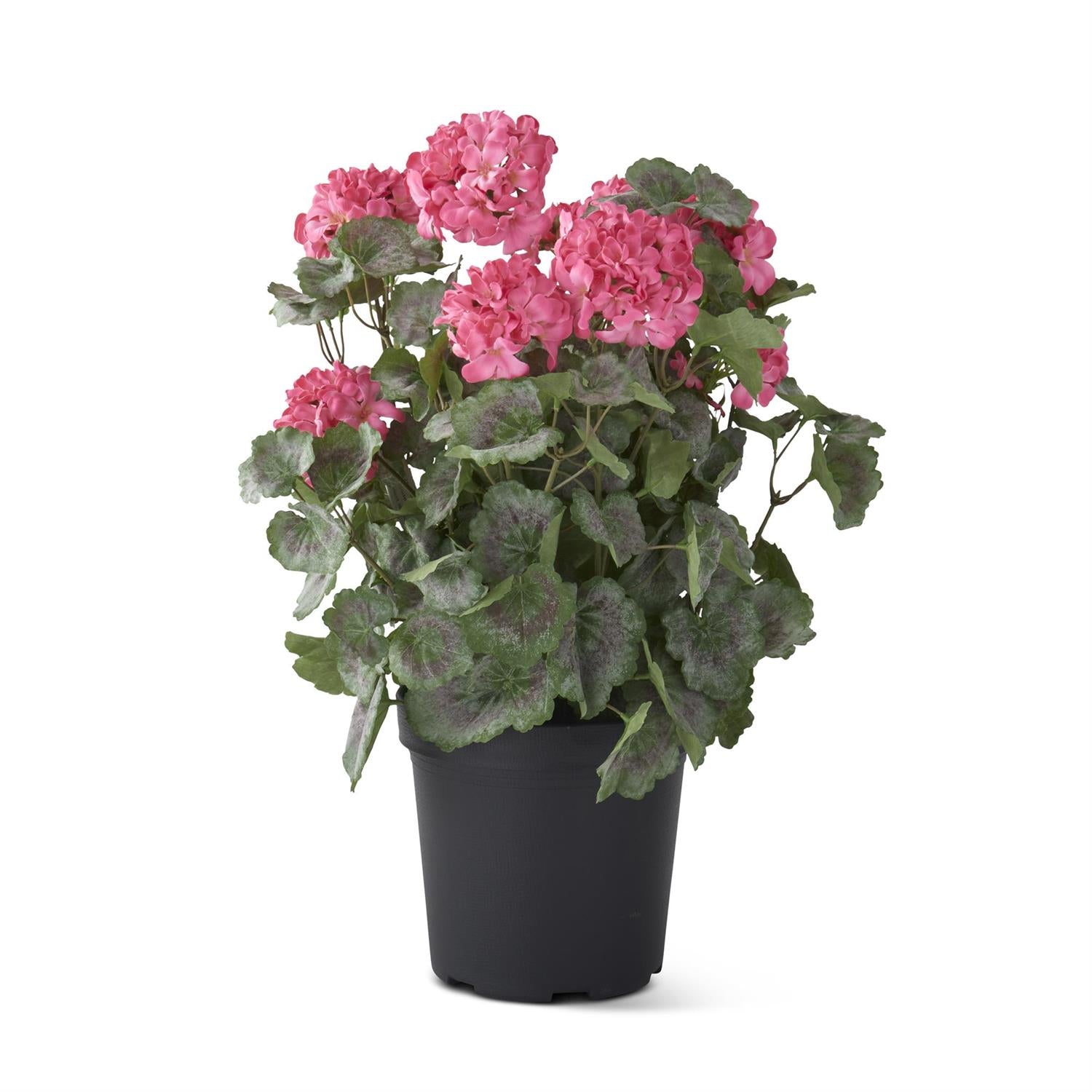 24 Inch Pink Potted Geranium with Faux Dirt