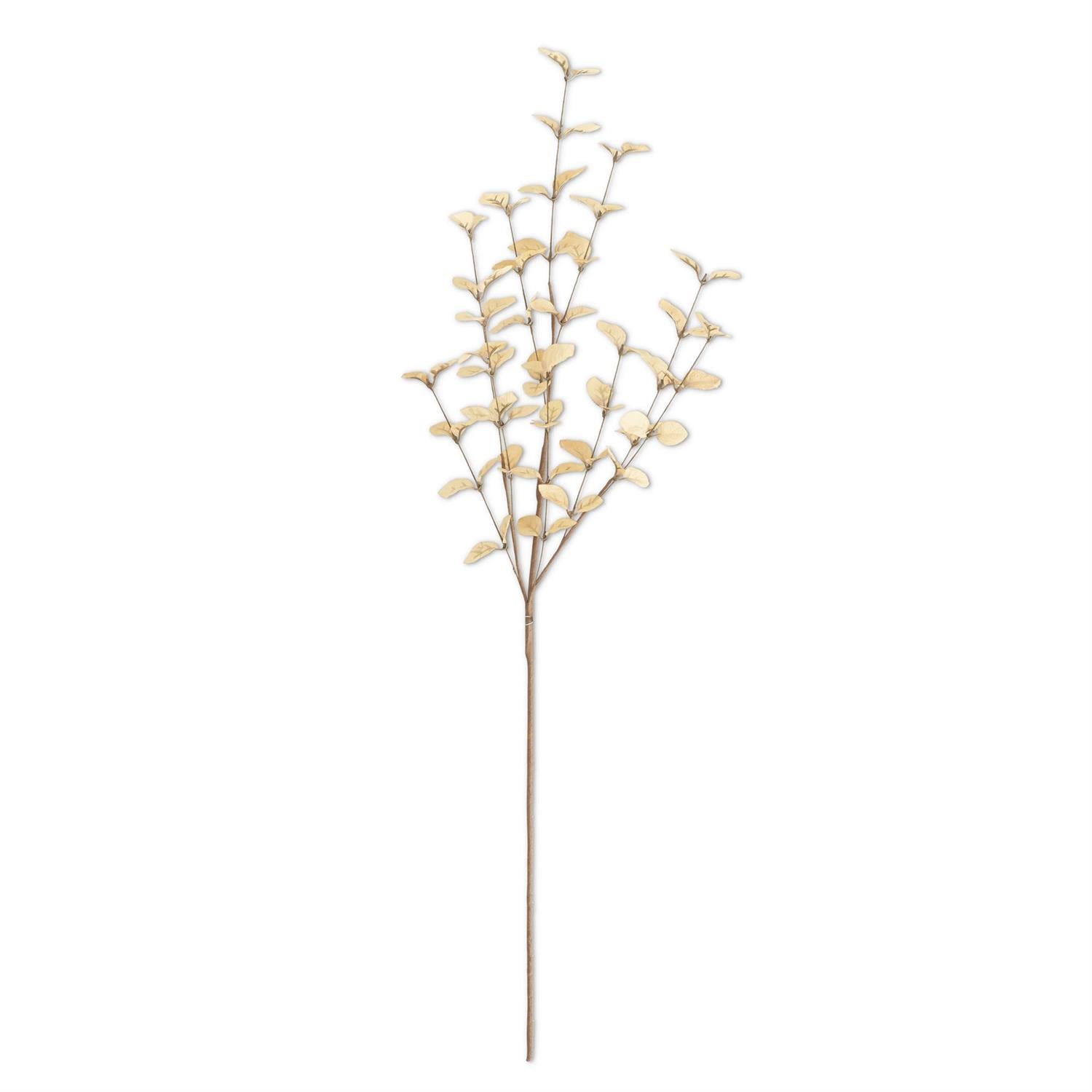34 Inch Beige Eucalyptus Stem