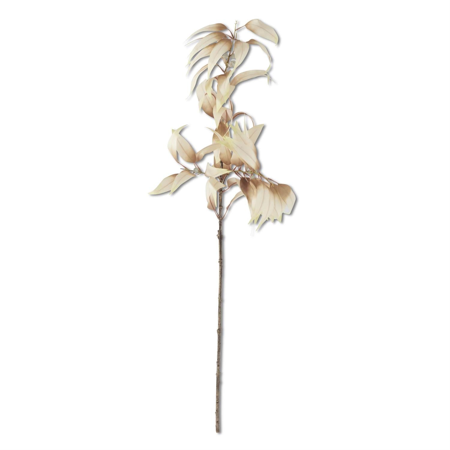 48 Inch Cream Eucalyptus Branch with Pods