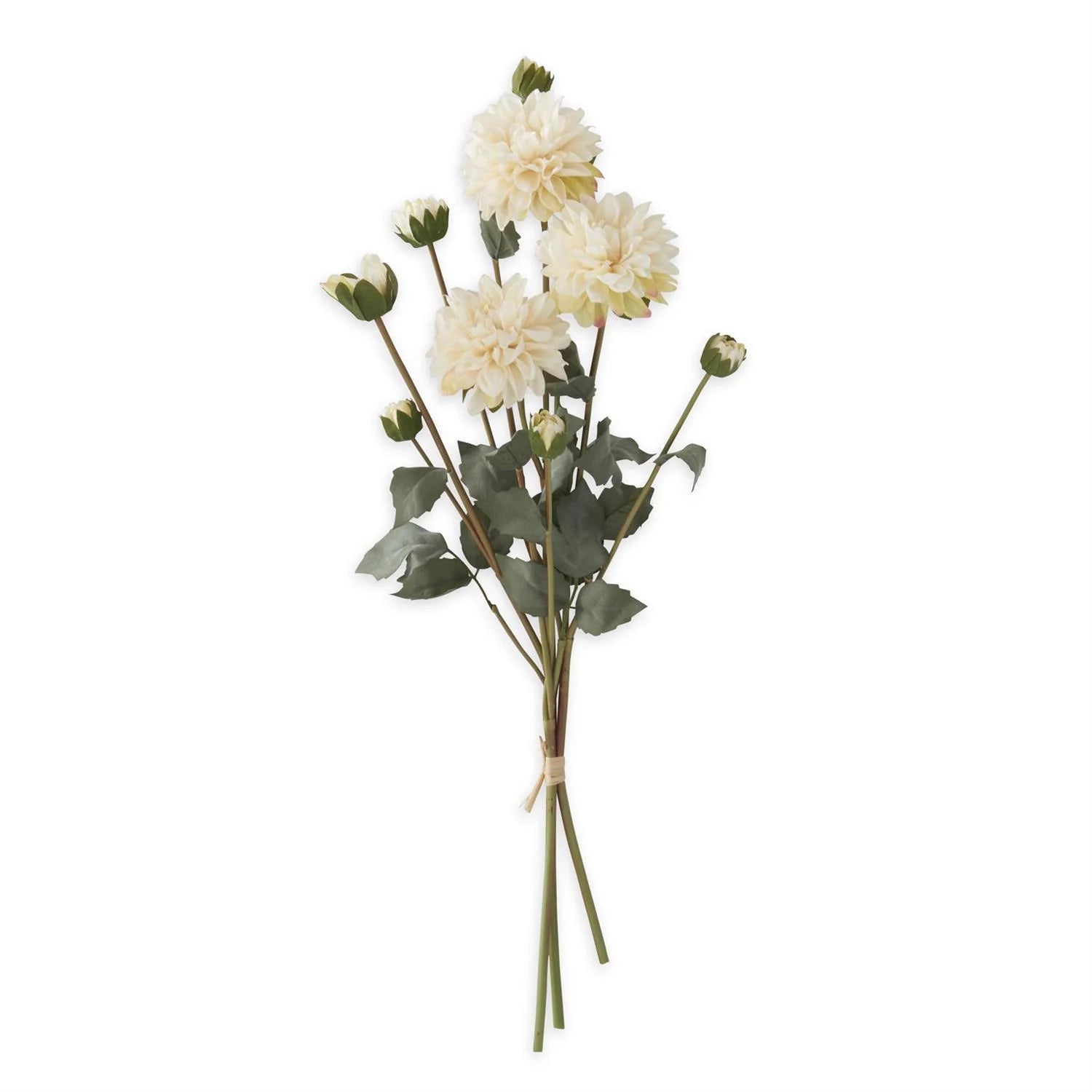 23 Inch Cream Faux Dried Dahlia 3 Stem Bundle