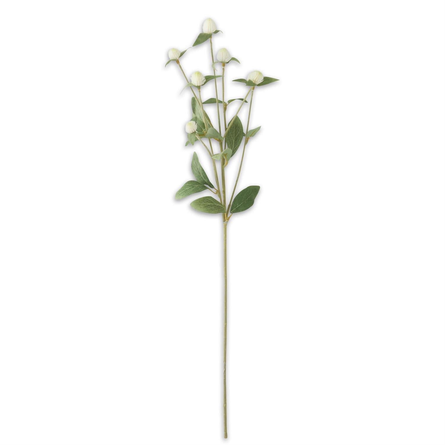28 Inch White Globe Amaranth Spray