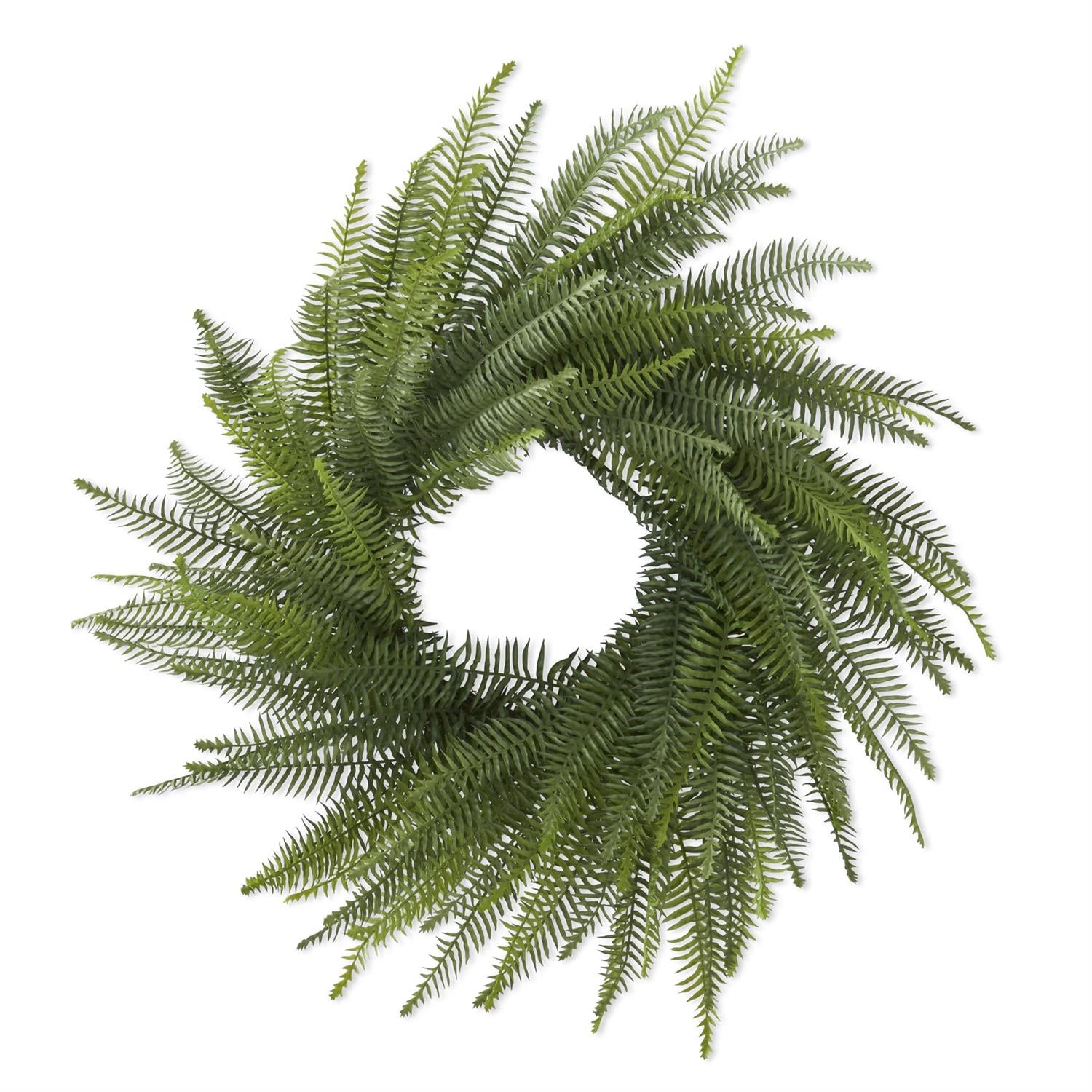 36 Inch Fern Wreath on Vine Base