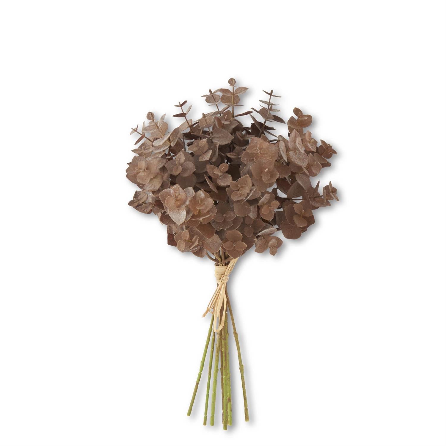Brown Eucalyptus Bundle