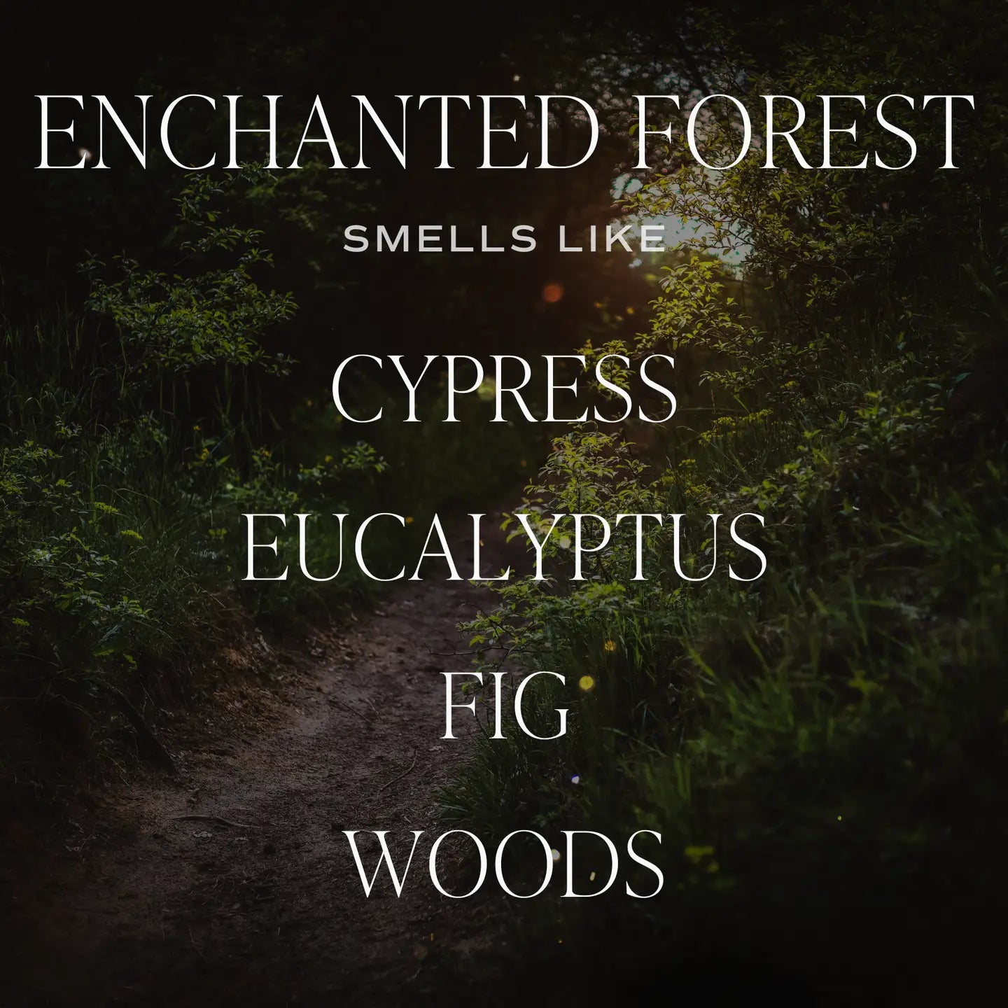 Enchanted Forest 15oz. Soy Candle