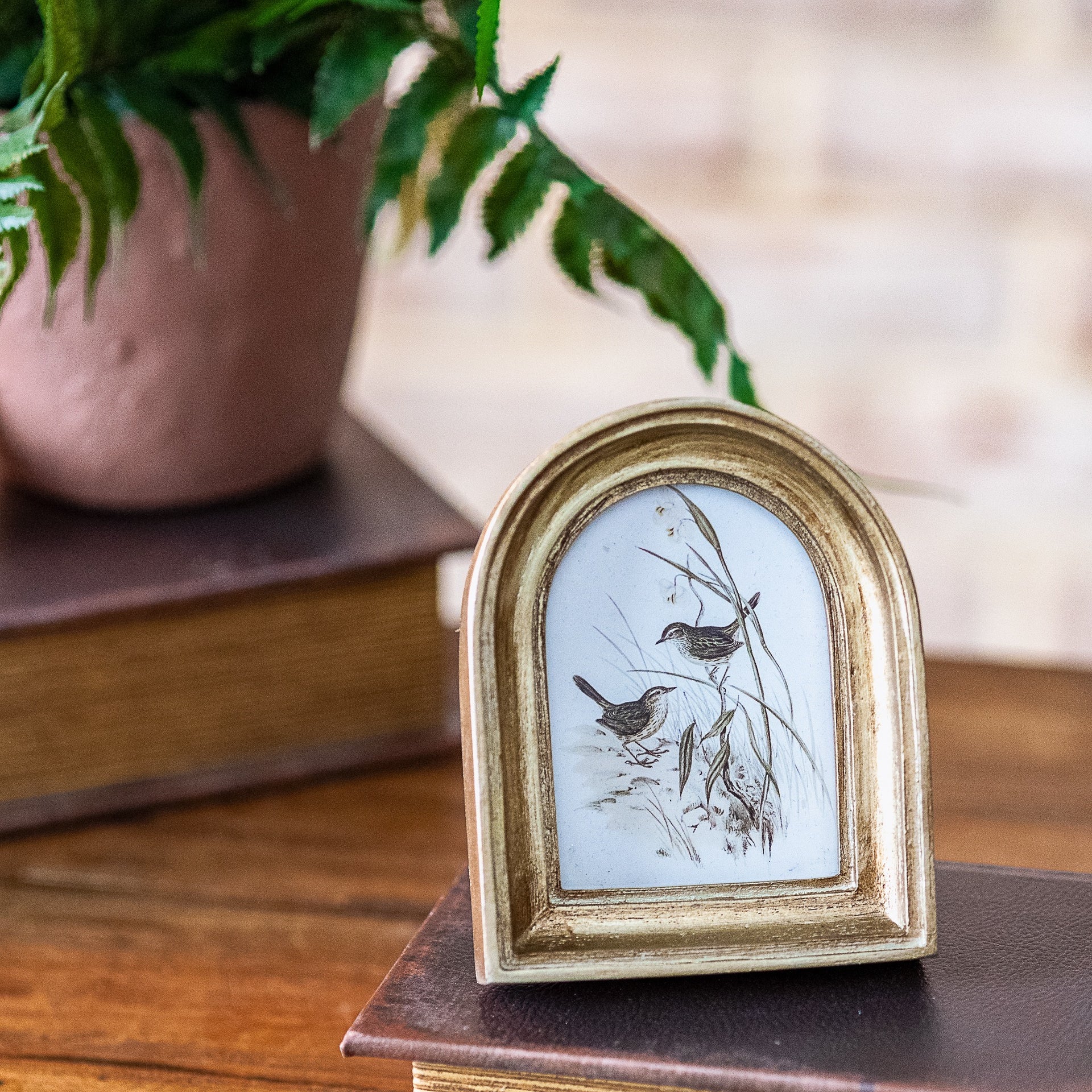 2 x 3 Gold Arch Frame