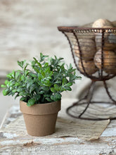 Load image into Gallery viewer, 6 Inch Gatehouse Herb Pot
