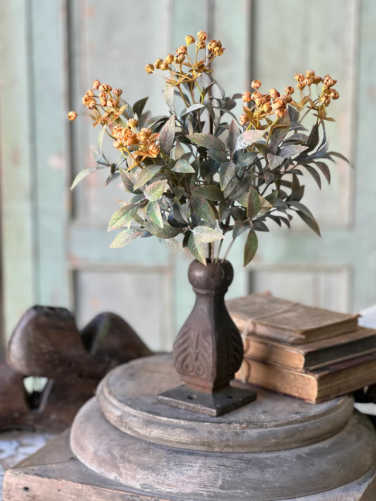 Trifle Blooms Bush