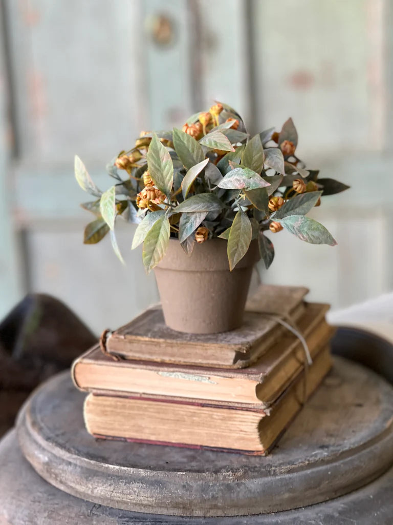 Trifle Blooms Pot