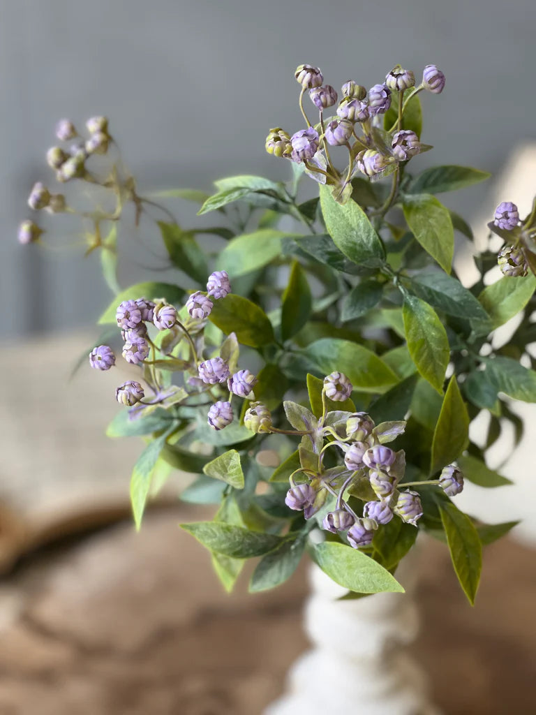 Lullaby Buds Bush | 14" | Purple