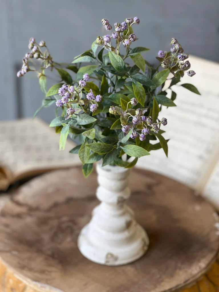 Lullaby Buds Bush | 14" | Purple