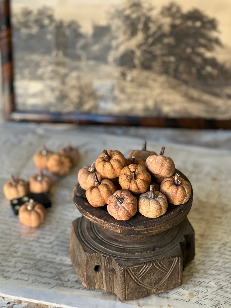 Copperfield Pumpkins | Rust