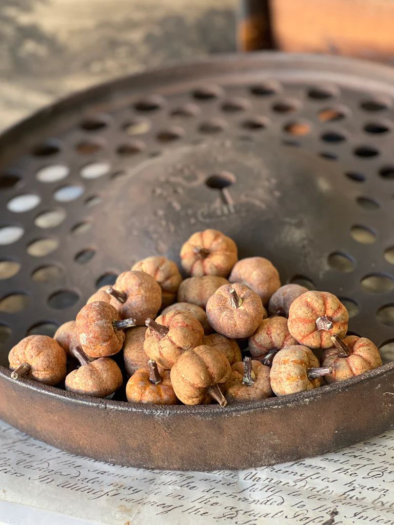 Copperfield Pumpkins | Rust