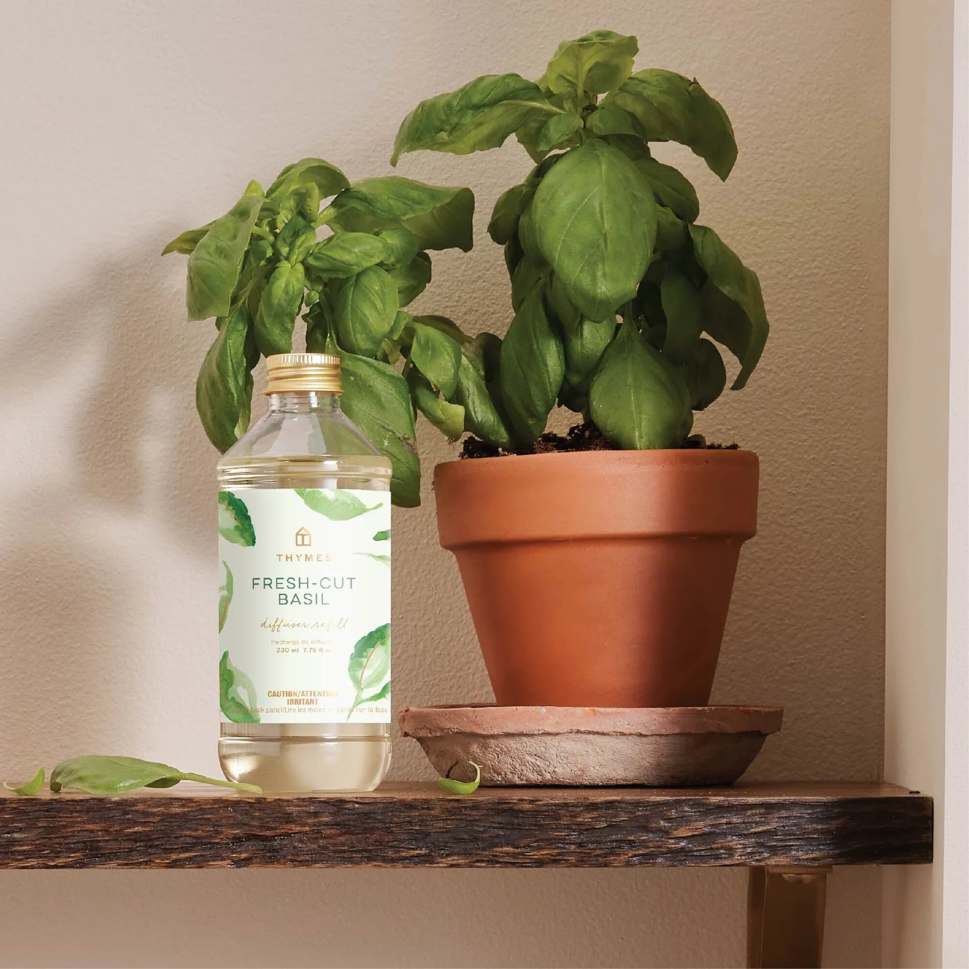 Fresh Cut Basil Reed Diffuser Refill