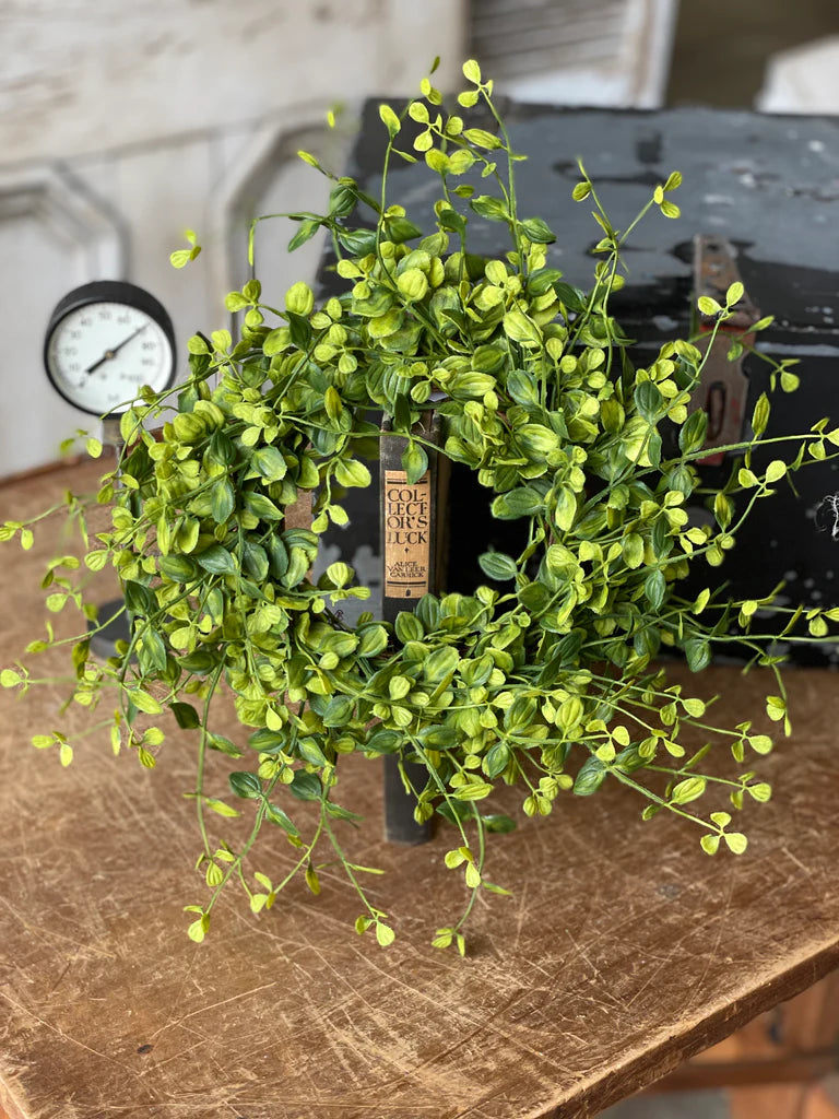 Bog Pimpernel Candle Ring