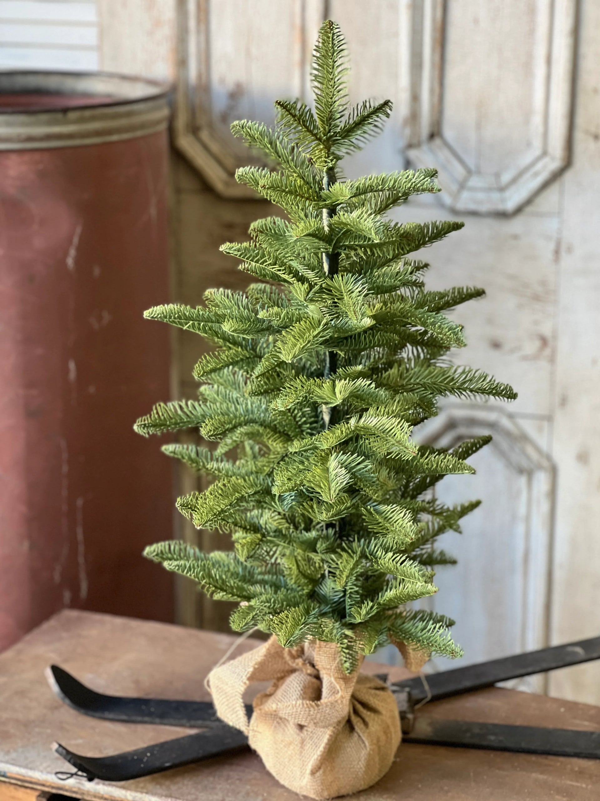 Shetland Spruce Tree 32 Inch
