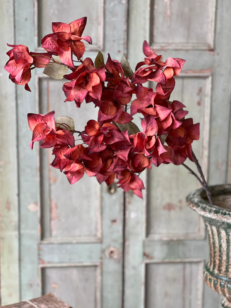 Torch Bougainvillea Spray 42 Inch