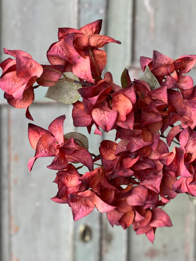 Torch Bougainvillea Spray 42 Inch