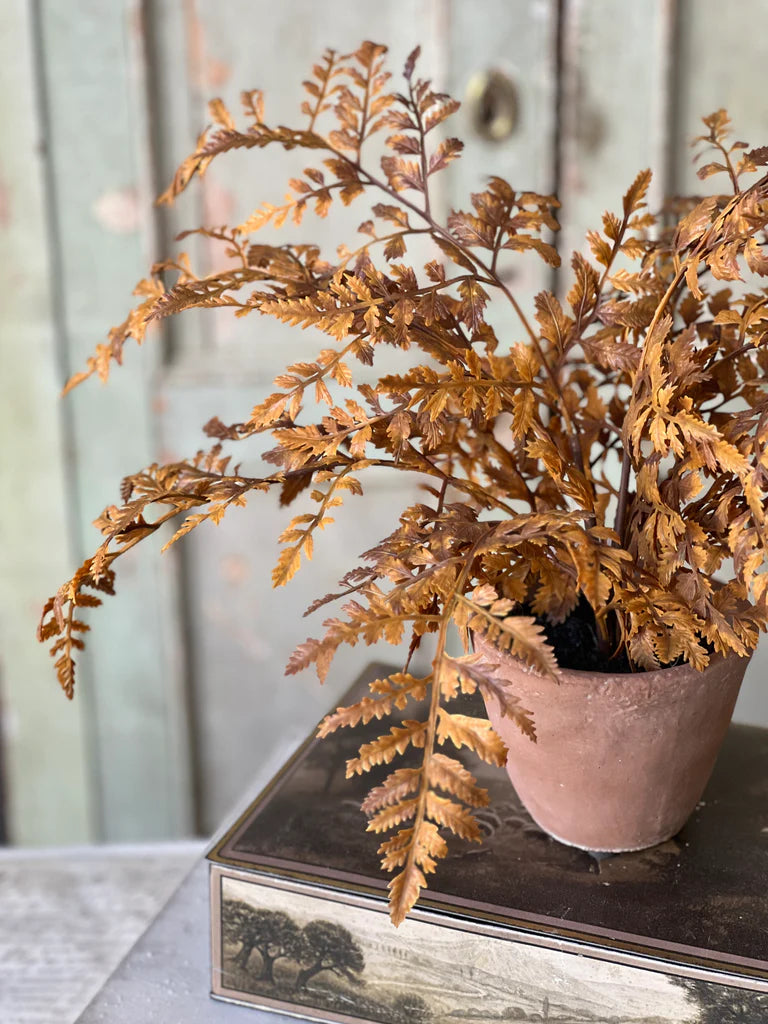 Autumnal Fern Potted| 18 Inch