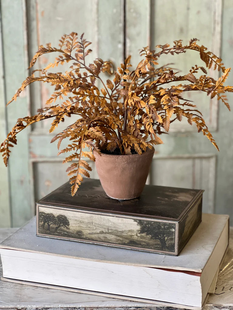 Autumnal Fern Potted| 18 Inch