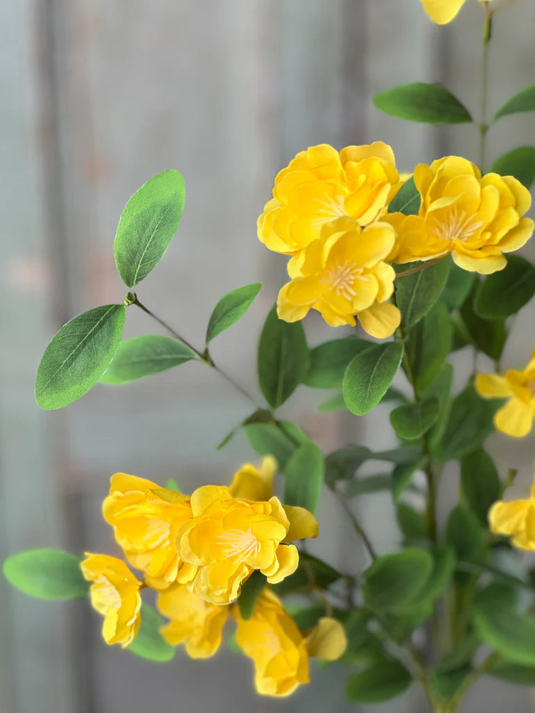 Isla Blooms Bush | 22" | Yellow