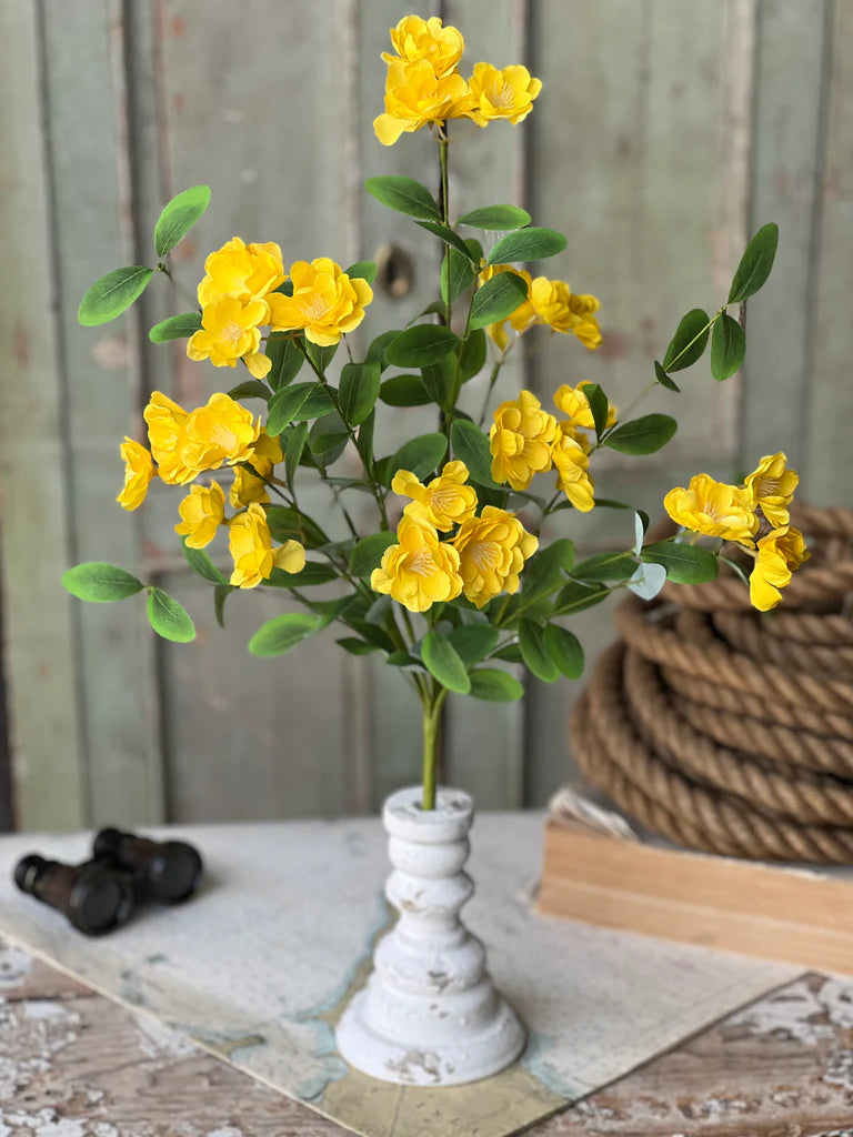Isla Blooms Bush | 22" | Yellow