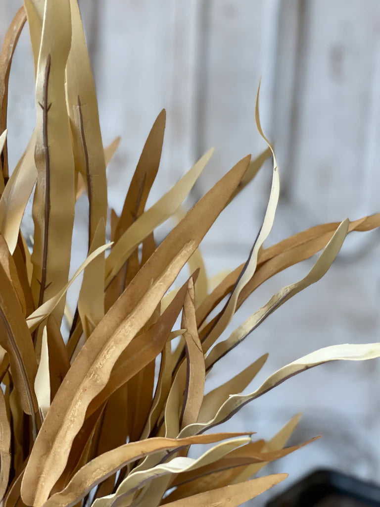 Golden Isles Bush | 32"