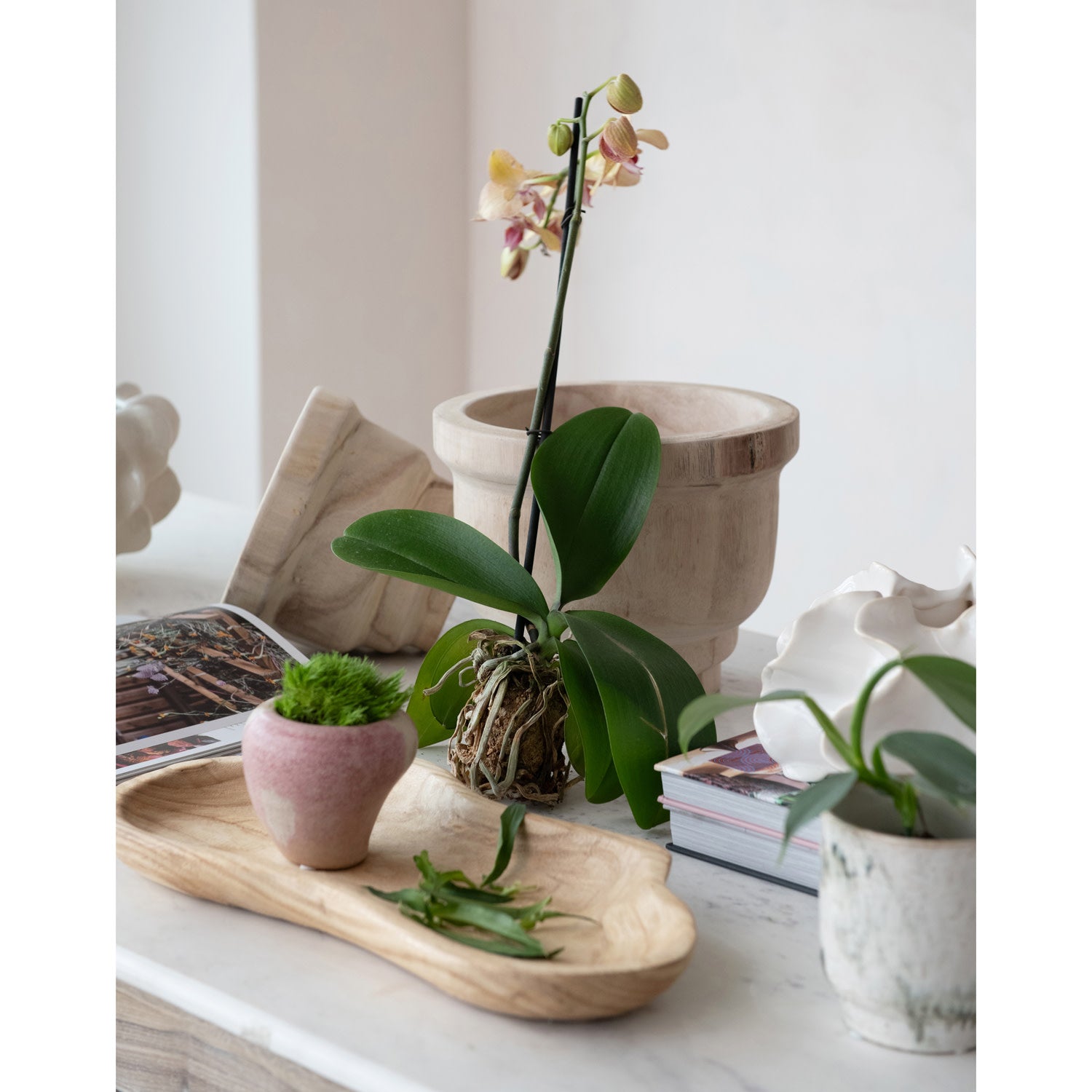 Small Paulownia Wood Planter