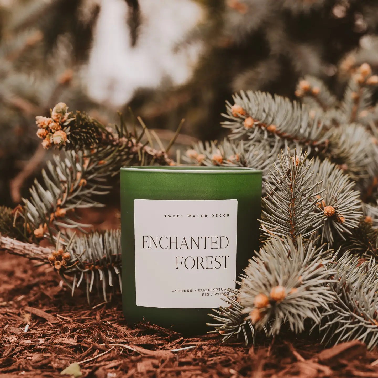 Enchanted Forest 15oz. Soy Candle