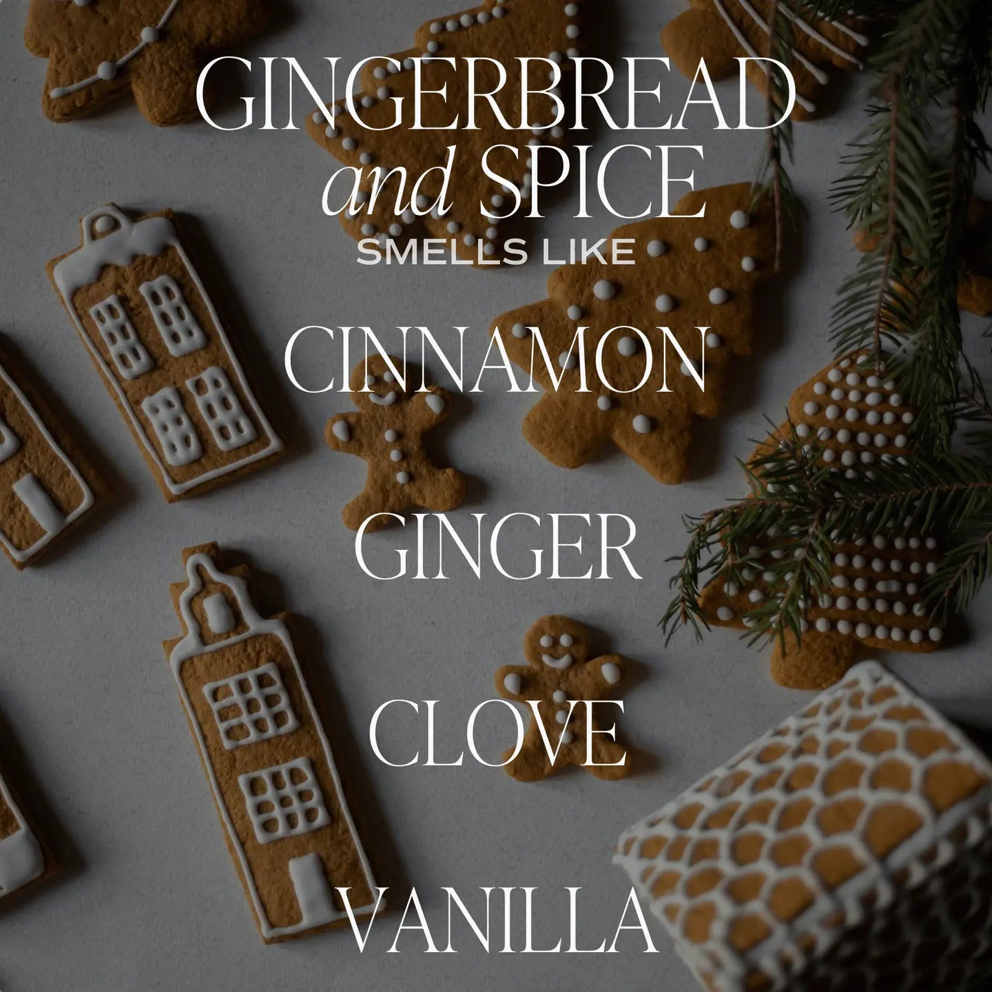 Gingerbread and Spice 15oz. Soy Candle