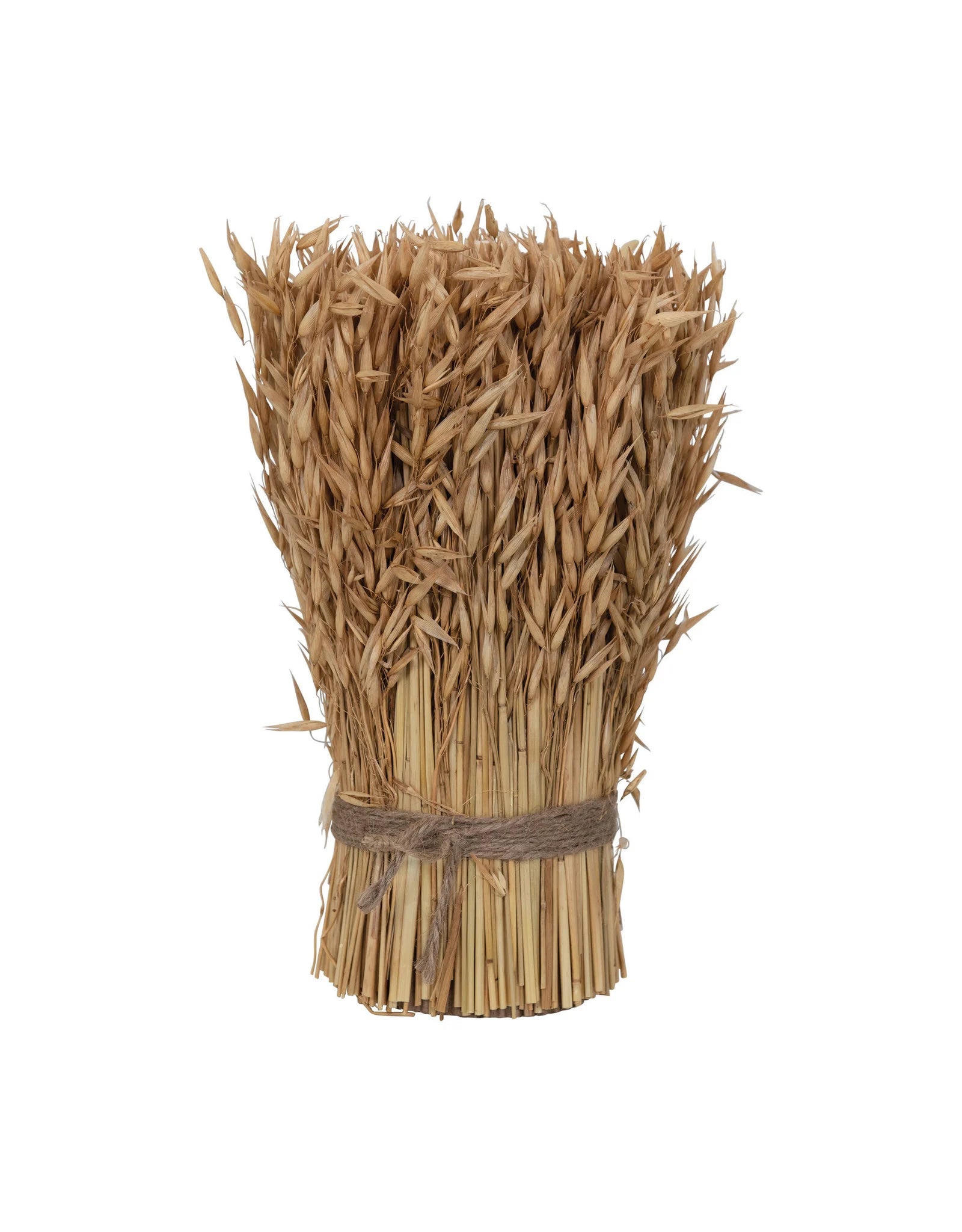 Dried Natural Harvest Grass Standing Bundle