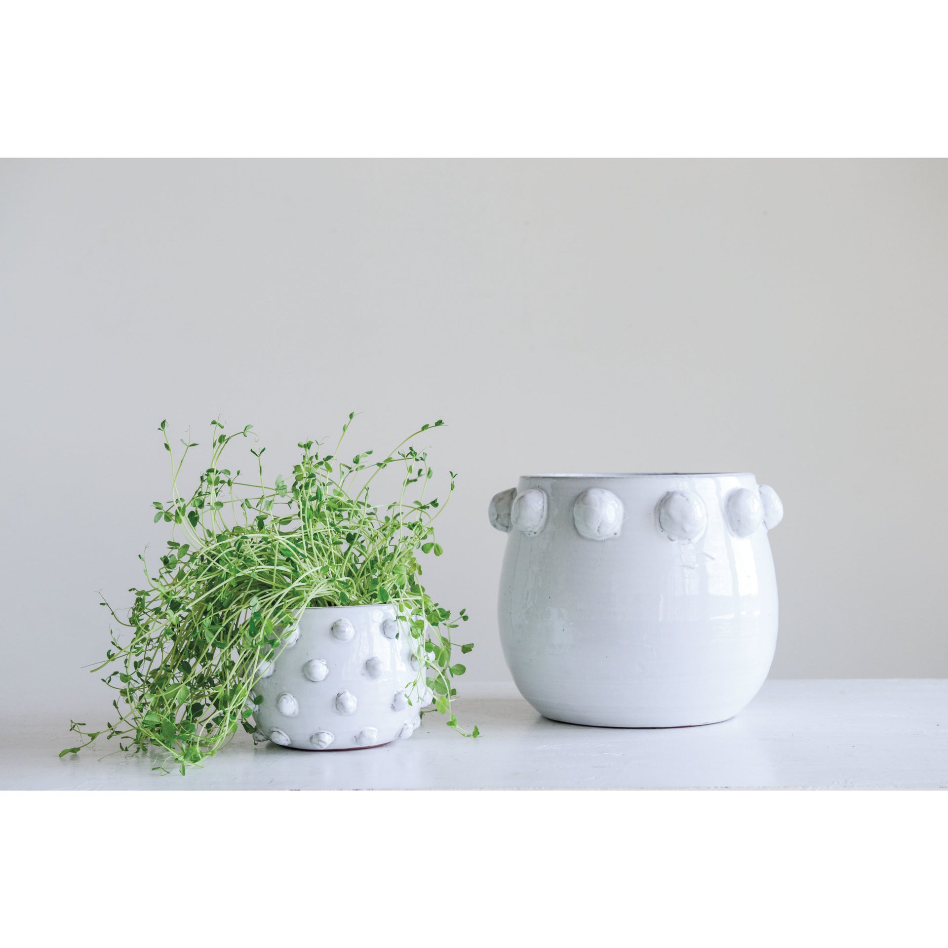 Round Terra-Cotta Planter