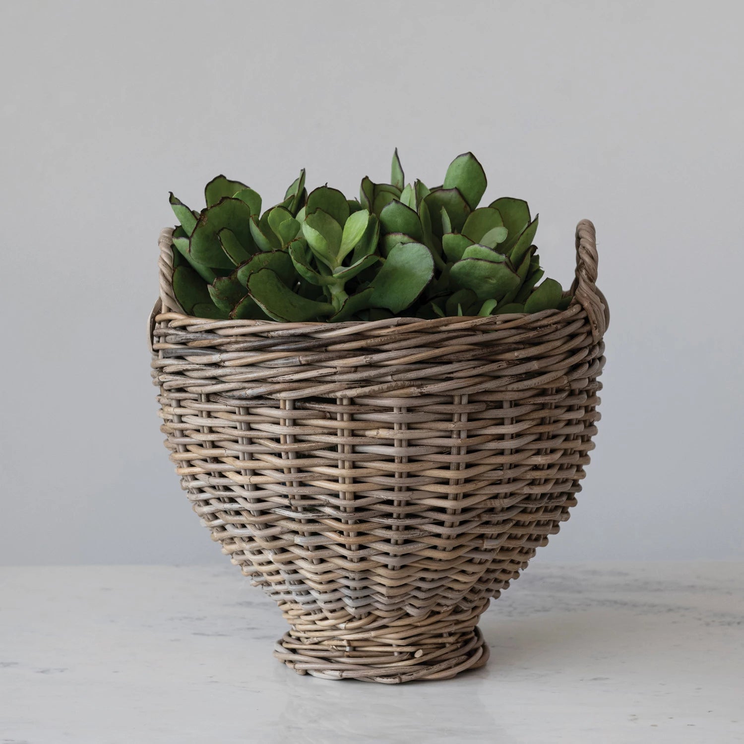 Natural Hand-Woven Rattan Footed Basket with Handles