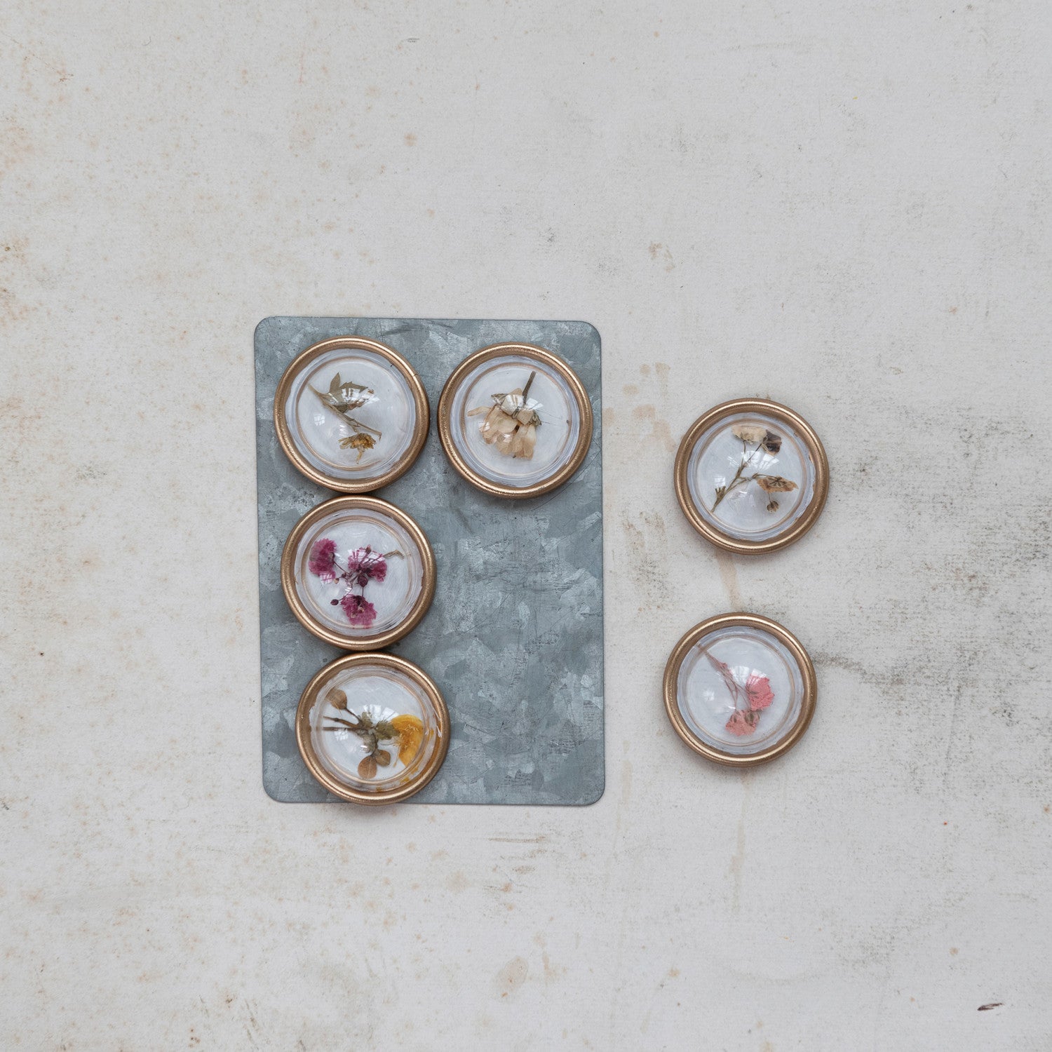 Resin Convex Magnets on Metal Card with Botanicals