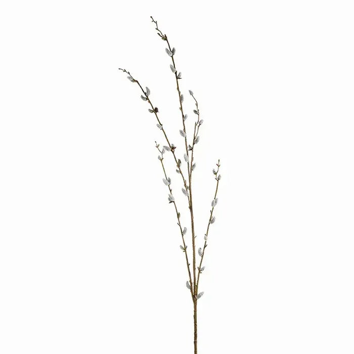 Pussy Willow Branch 46 in.